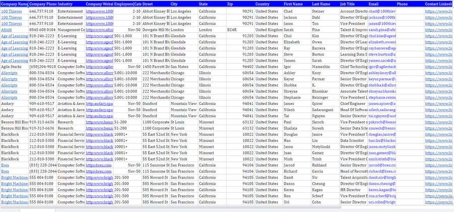 Real list built for a Recruiting Agency